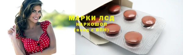 шишки Козловка